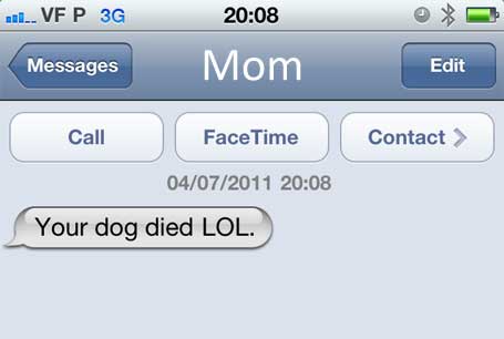 Your Dog Died LOL